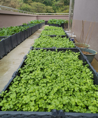 สนามหลังบ้าน 0.5mm-16.0mm หนาพลาสติก สวน Planter Box Long Service Life