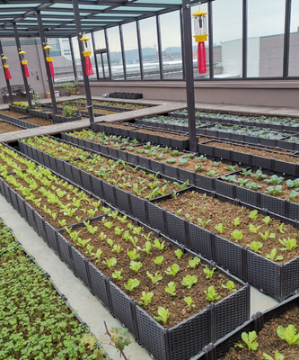 สนามหลังบ้าน 0.5mm-16.0mm หนาพลาสติก สวน Planter Box Long Service Life