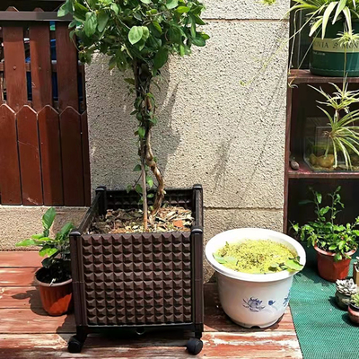 บริการ OEM กล่องดอกไม้พลาสติกขนาดใหญ่รางพลาสติกสำหรับผัก Antirust