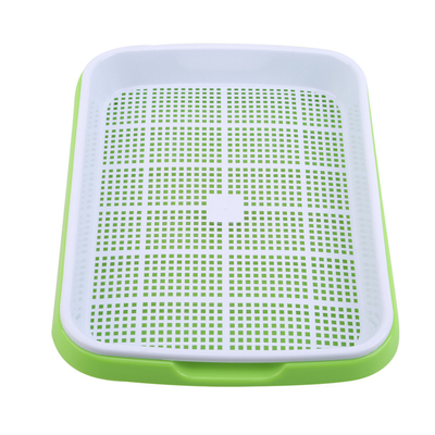 ครัวเรือน Static Hydroponic Seed Sprout Tray กล่องยาว 12.2 นิ้ว