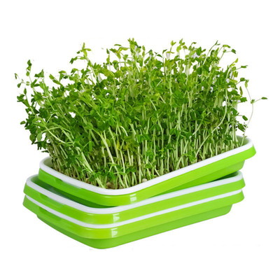 ถาดใส่ถั่วงอก Microgreen PP รีไซเคิลพร้อมฝาปิดใช้ในครัว