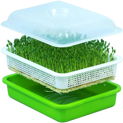 ครอบครัวเกรดอาหารใช้ถาดเริ่มต้นเมล็ด Hydroponic ความยาว 12.2 นิ้ว
