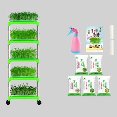 PE เคลือบต้นกล้าถาดยืน Mung Bean Sprouting ถาดเป็นมิตรกับสิ่งแวดล้อม