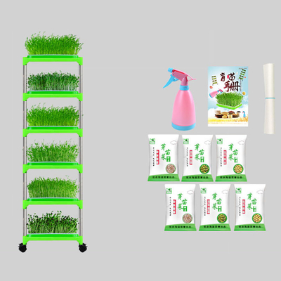 PE เคลือบต้นกล้าถาดยืน Mung Bean Sprouting ถาดเป็นมิตรกับสิ่งแวดล้อม